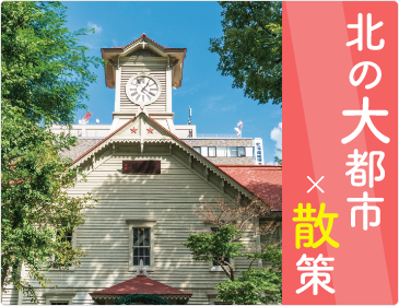 北の大都市×散策