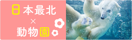 日本最北×動物園
