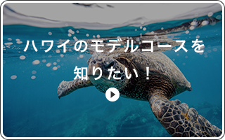 ハワイのモデルコースを知りたい！