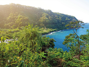 マウイ島