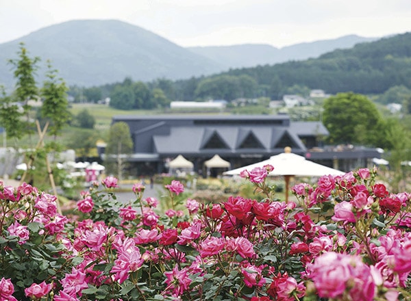 茨城県