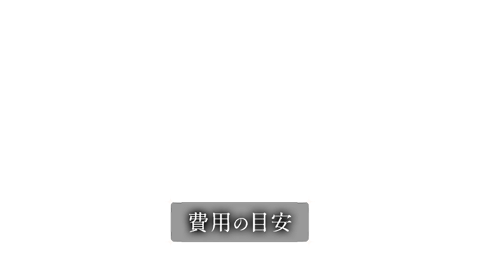 オーロラ観賞 海外ツアー・旅行 費用の目安
