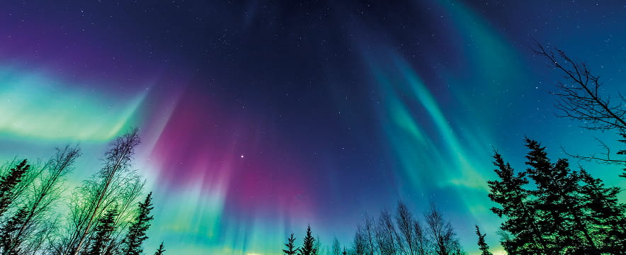 アラスカ オーロラ