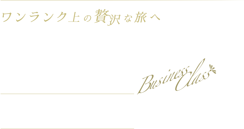 【ターキッシュ エアラインズ】ビジネスクラス海外旅行・ツアー