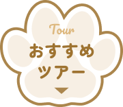 おすすめツアー