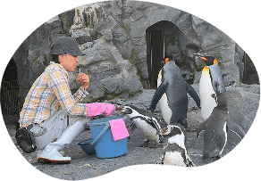 もぐもぐタイム・なるほどガイド　イメージ