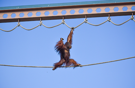 おらんうーたん館