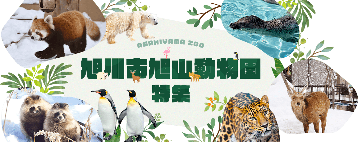 旭山動物園旅行・ツアー 特集
