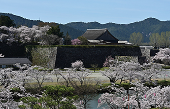 篠山城