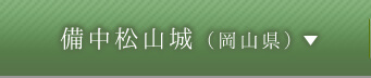 備中松山城（岡山県）