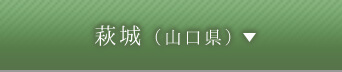 萩城（山口県）