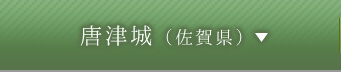 唐津城（佐賀県）