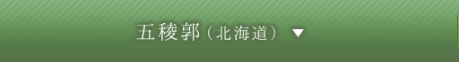 五稜郭（北海道）