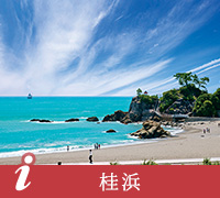 桂浜