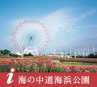 海の中道海浜公園