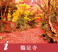 鶏足寺