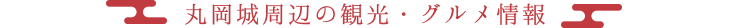 丸岡城周辺の観光・グルメ情報
