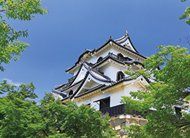 彦根城