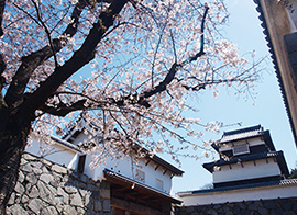 福岡城