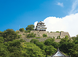 丸亀城