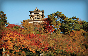 丸岡城