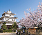 丸亀城
