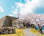 竹田城跡