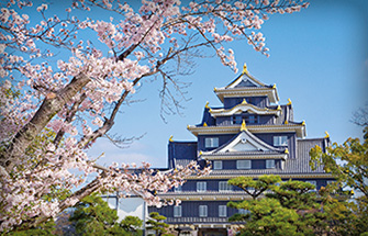 岡山城