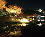 秋の玄宮園