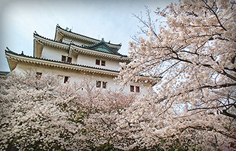 和歌山城