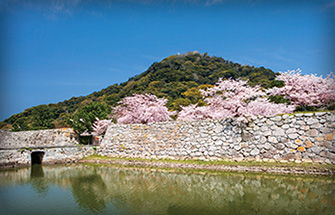 萩城