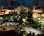 玉泉院丸庭園