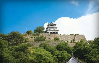 丸亀城