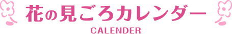 花の見ごろカレンダー
