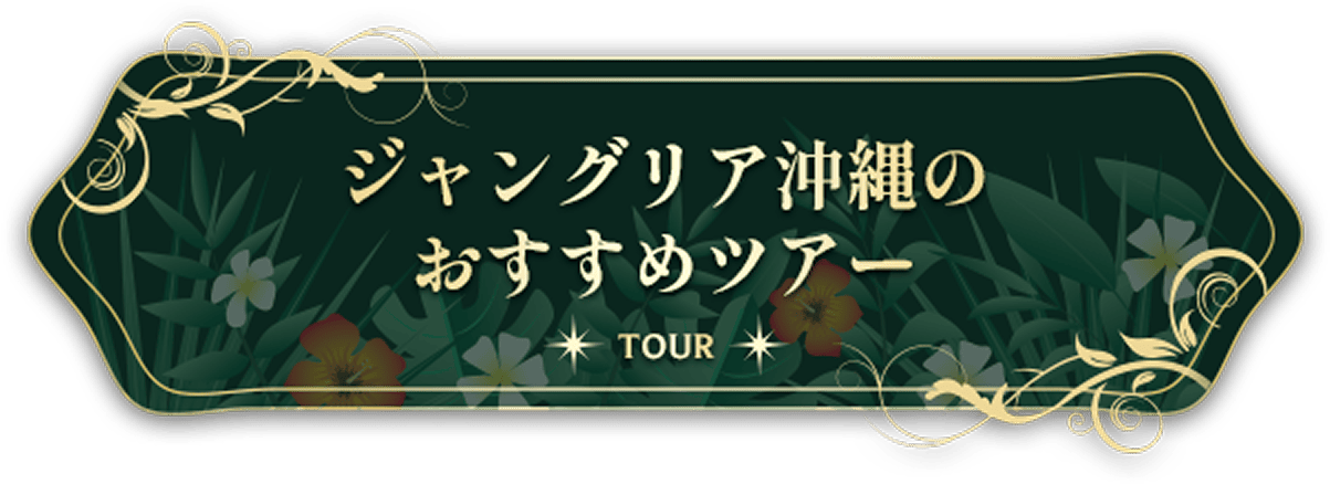 ジャングリア沖縄のおすすめツアー
