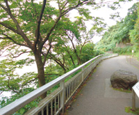 親不知