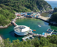 下田海中水族館