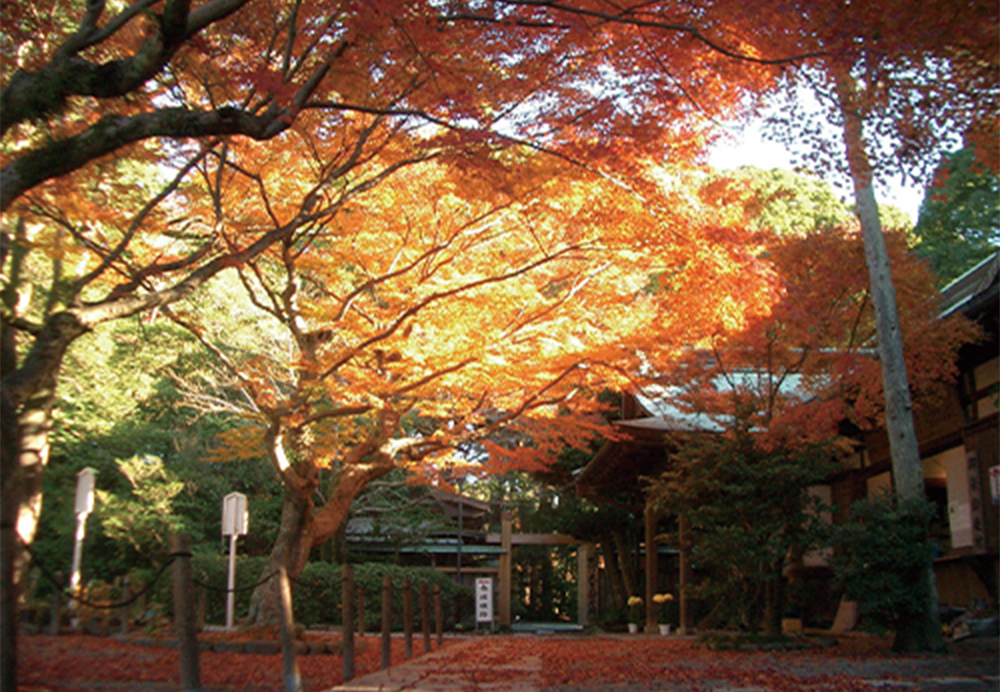 鎌倉