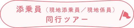 添乗員(現地添乗員/現地係員)同行ツアー