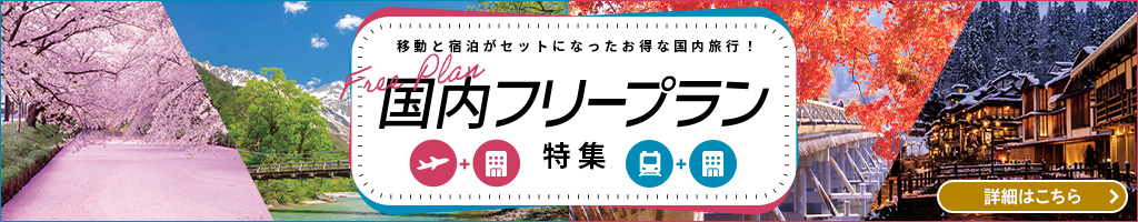 国内フリープラン
