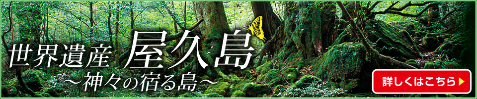 屋久島